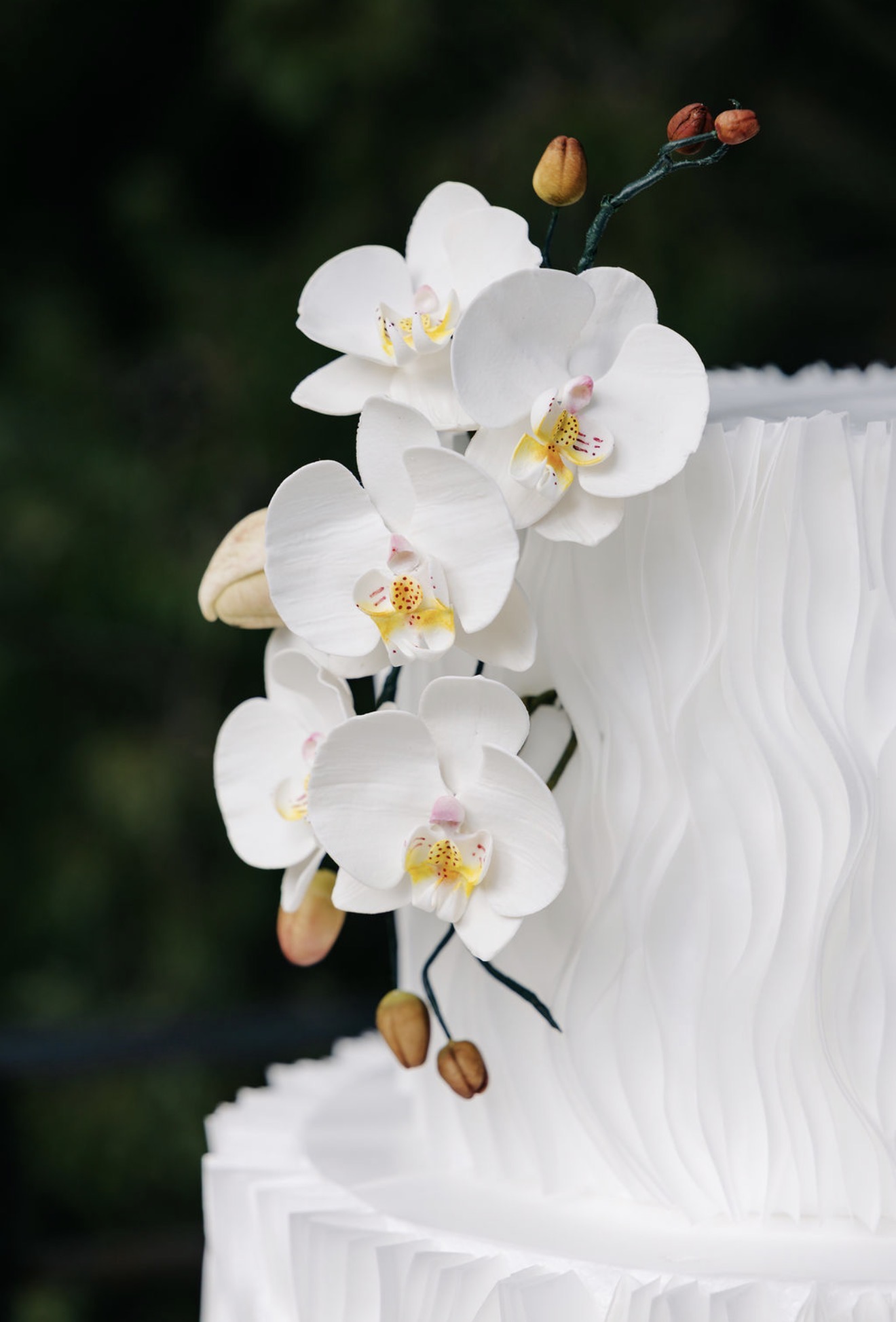 Close-up of sugar phalaenopsis orchids against a wave-textured tier