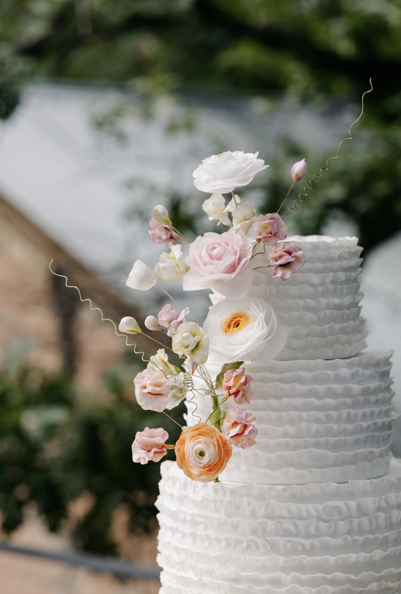 Close-up of sugar ranunculus, sweet peas, and hand-curled wire tendrils