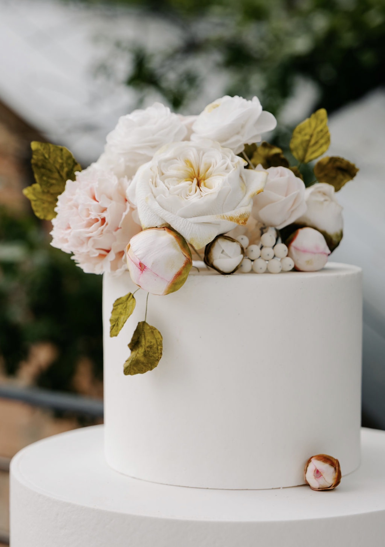 Close-up of a sugar peony, garden rose, and peony buds
