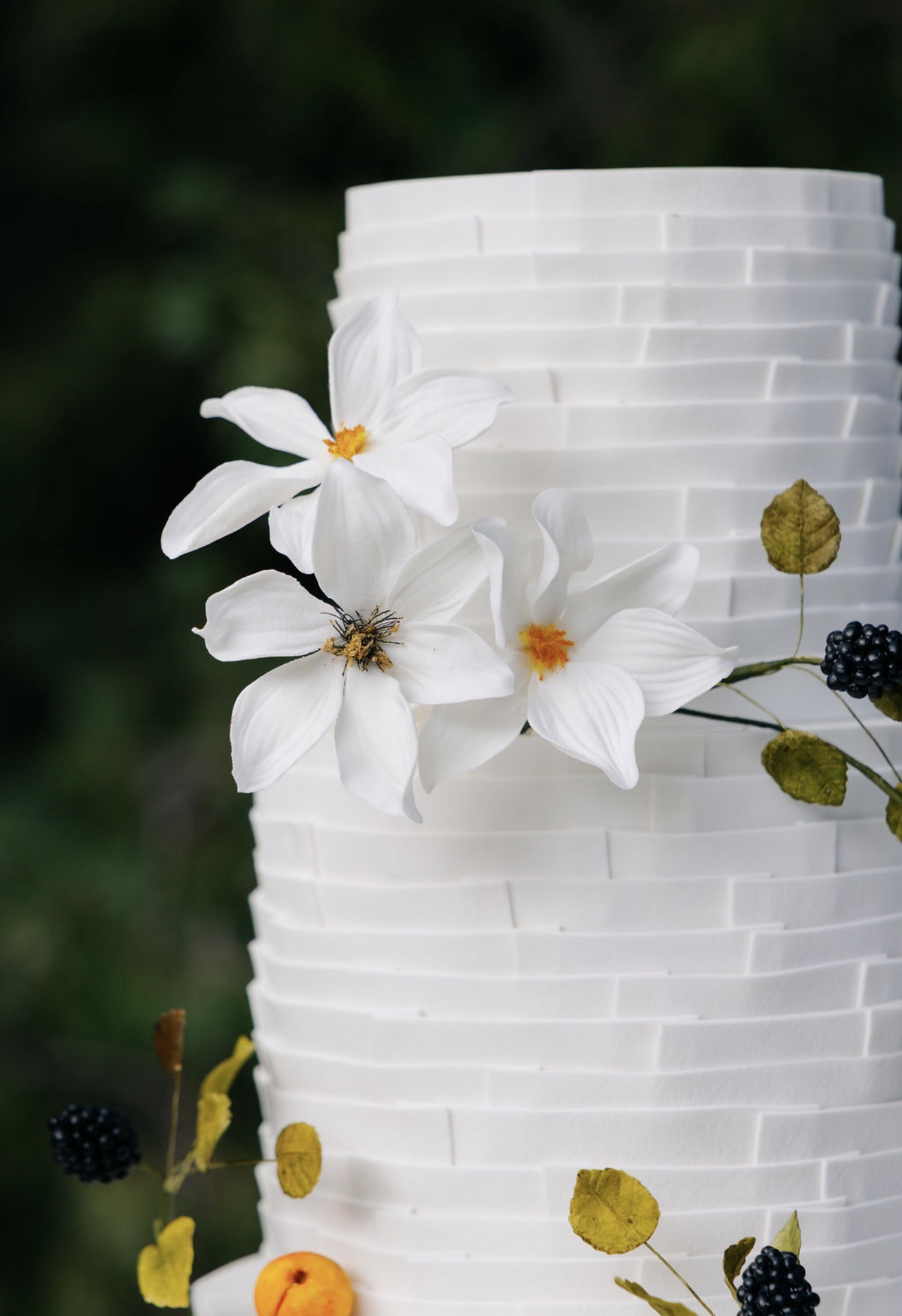 Close-up of sugar clematis blooms against ribbon-textured tiers