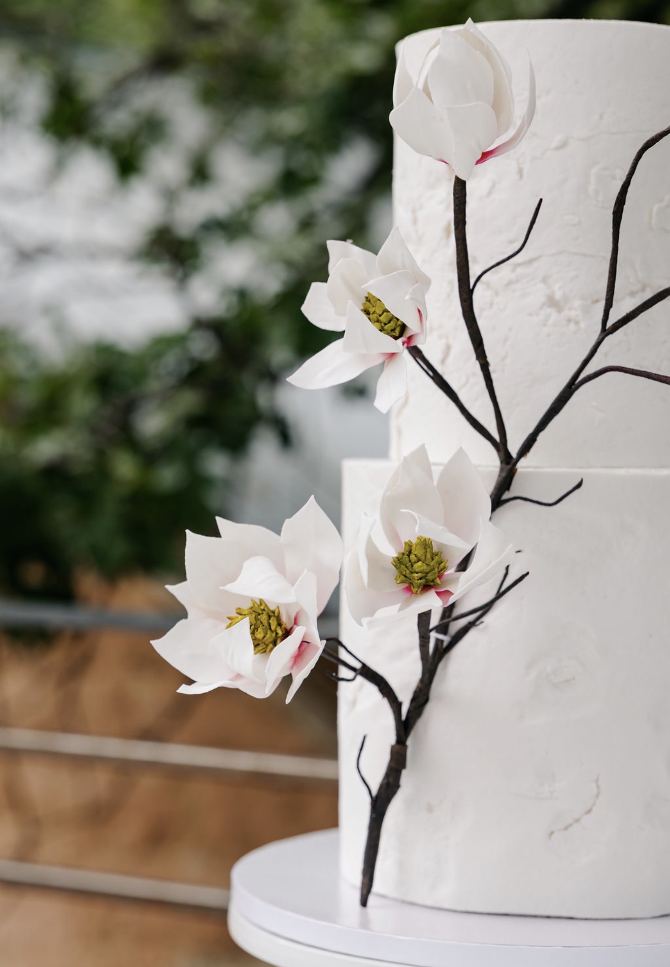 Close-up of sugar magnolias on a hand-wrapped branch